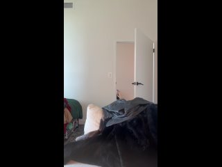 brooke 123 live