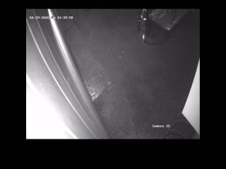 video by overheard belozersk